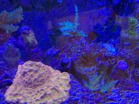 IMG_4707.jpg
