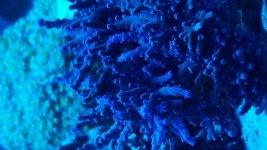 20190322_221634.jpg