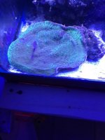 IMG_2949.jpg