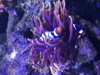 240F9014-D2F8-4995-B9D4-6BF618D8308D.jpg