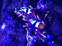 AB06E65B-3929-4C84-B0EE-3BE7DE1DF935.jpg