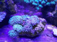 Resized_20190822_184318.jpg