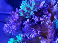 20190323_115033.jpg