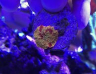 CBD0E7D0-3062-48C2-B045-E792C68DC966.jpg