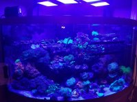 2018-10-31 22.54.57.jpg