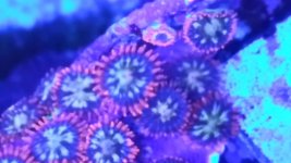 20190616_183856.jpg