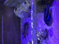 59B705C0-9AAE-4CD6-AFDC-10D5D53DEEA0.jpg