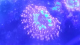 20190616_182232.jpg