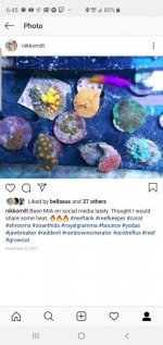 Screenshot_20190617-184509_Instagram.jpg