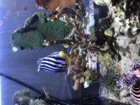 CD747482-D30D-4980-A029-6BF2EFC6EDE3.jpg