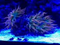 780DD901-501C-4102-8547-2F3DB7541D13.jpg