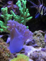 227AC6E6-0388-4C0F-B50A-9253544151A5.jpg