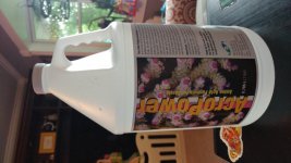 20190618_174258.jpg