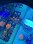 IMG_3254.jpg