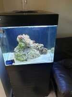 Red-Sea-max-130-D-marine-Fish-tank.jpg