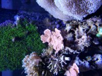 20190827_231959.jpg