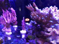 IMG_0616.jpg