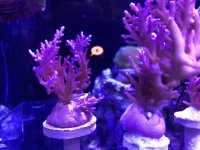 IMG_0618.jpg