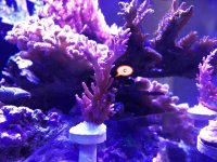 IMG_0619.jpg