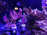 IMG_0617.jpg