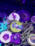 IMG_20181103_182926.jpg