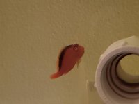 20190127_125314.jpg