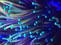 493B2E52-53DF-43FC-95CA-C66A4878CD69.jpg