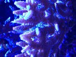 0BD997A4-4EB8-456B-828E-FC96E747FF65.jpg