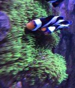 IMG_1981.jpg