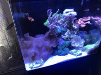 E61CAC30-E4C9-4B6F-A532-45B9A85AEE1B.jpg
