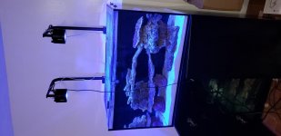 20181105_194527.jpg