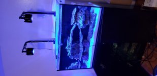 20181105_194535.jpg