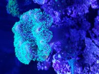 20190330_081442.jpg