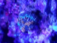 20190330_081533.jpg