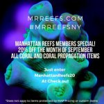 MANHATTAN REEFS MEMBERS SPECIAL! 20% OFF THE MONTH OF September ALL CORAL AND CORAL PROPAGATION .jpg