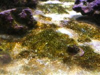 IMG_1503.jpg