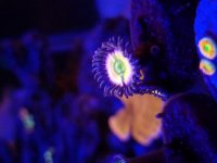 20181107_230000.jpg