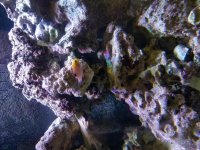 20190126_105316.jpg