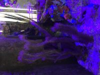 IMG_1224.JPG