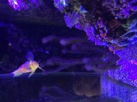 IMG_1226.JPG