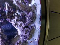 20190126_144630.jpg