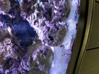 20190126_144628.jpg