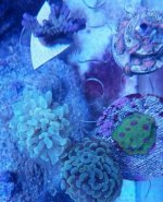IMG_20190130_194130_189.jpg