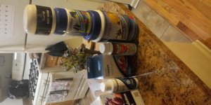20190131_170733.jpg