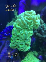 75EE6141-567A-491A-9FB0-88BDA26174B5.jpg