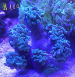 8FC74A04-75B6-4B0C-AAA4-58BD21D64460.jpg