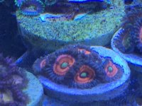 IMG_5827.JPG
