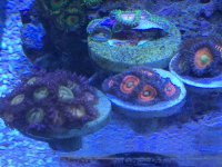IMG_5828.JPG