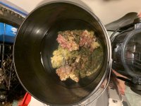 IMG_0352.jpg