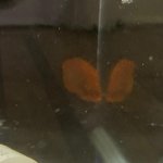 E606F9C2-EE40-47AB-BD49-90A16F33FFA5.jpg